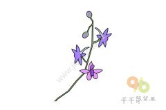 飞燕草简笔画怎么画