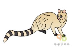 怎么画灵猫简笔画图片