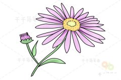 米迦勒雏菊简笔画怎么画