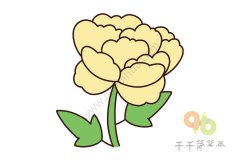 牡丹简笔画教程