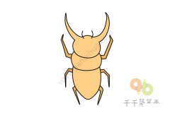 宝宝学画 甲虫简笔画