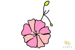 盛开的满天星简笔画