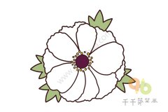 牡丹简笔画画法