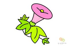 简单易学 牵牛花简笔画