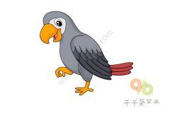 教你画 非洲灰鹦鹉简笔画