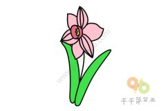 漂亮的水仙花简笔画图片