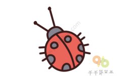 如何画七星瓢虫简笔画步骤图