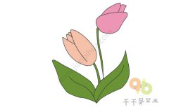 轻松画 彩色郁金香简笔画图片大全