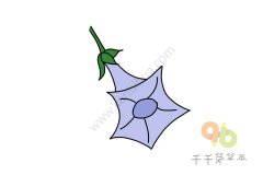 盛开的牵牛花简笔画图片