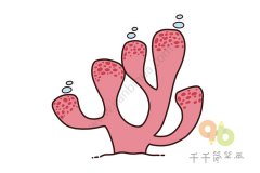 珊瑚简笔画教程