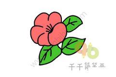 牡丹花简笔画_1