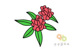 石榴花简笔画图片大全