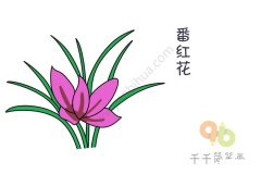 番红花简笔画步骤图
