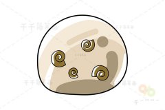 巴西涡螺简笔画