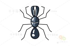大蚁蛛简笔画
