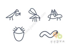 常见的昆虫简笔画