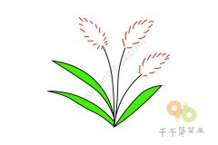 漂亮白色的小花儿简笔画