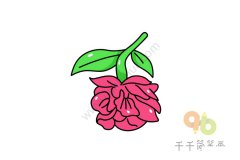 漂亮的花朵简笔画怎么画