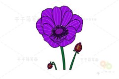 艳丽的银莲花简笔画