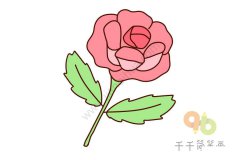 玫瑰花简笔画 儿童学画花朵