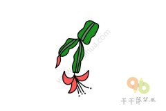 轻松画 蟹爪兰简笔画图片