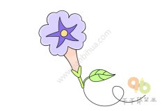 牵牛花简笔画 儿童学画花朵