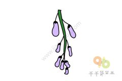 紫色的藤萝简笔画