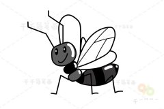 如何画蚁蜂简笔画