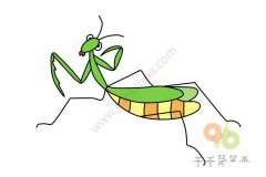 大大的螳螂简笔画图片