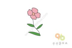 风中摇摆的蝴蝶花简笔画