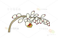 艳山姜简笔画画法