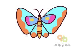 彩色的蝴蝶简笔画步骤图