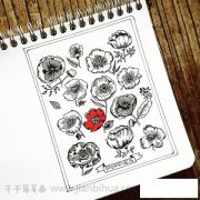 花草简笔画：向阳花开