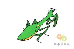 大长腿螳螂简笔画