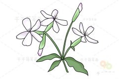 石碱草简笔画图片