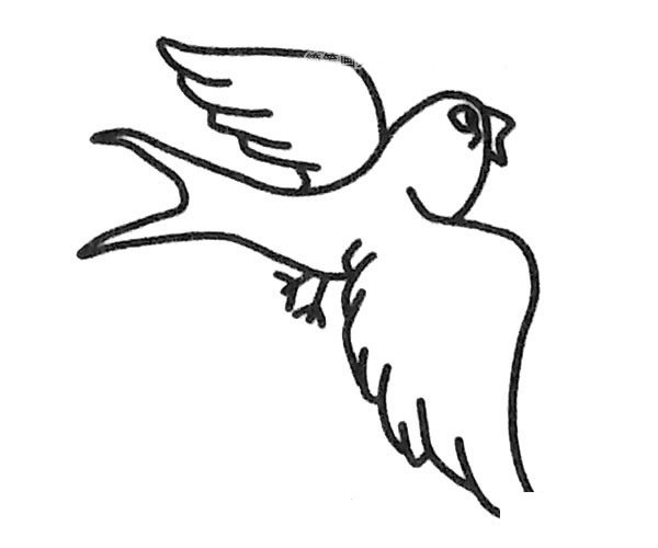 小燕子简笔画步骤图片4