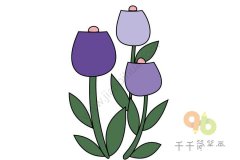 紫色花朵简笔画