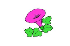牵牛花简笔画_1