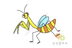 彩色的螳螂简笔涂色画