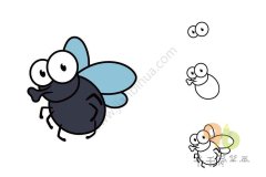 教你画 昆虫简笔画
