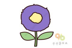 紫色菊花简笔画怎么画