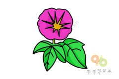 牵牛花简笔画图片