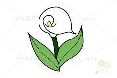 轻松画 马蹄莲简笔画