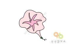 漂亮的牵牛花简笔画图片