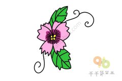 漂亮的三色堇简笔画画法