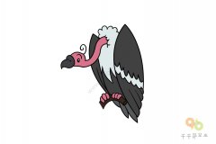 秃鹫简笔画教程