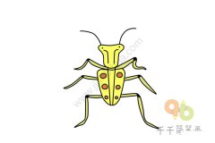 教你画 甲虫简笔画