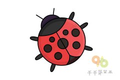 圆滚滚的瓢虫简笔画图片