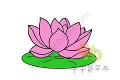 莲花简笔画