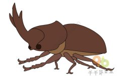 教你画 甲虫简笔画_1